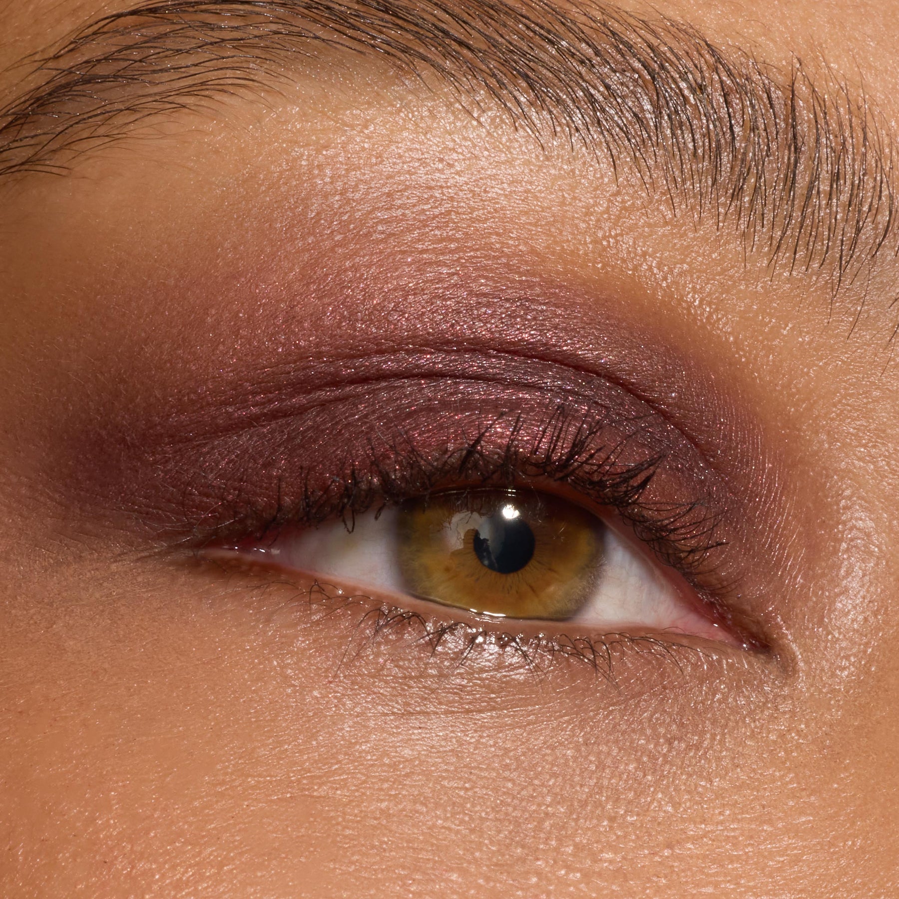 The Volturi - Easy Set