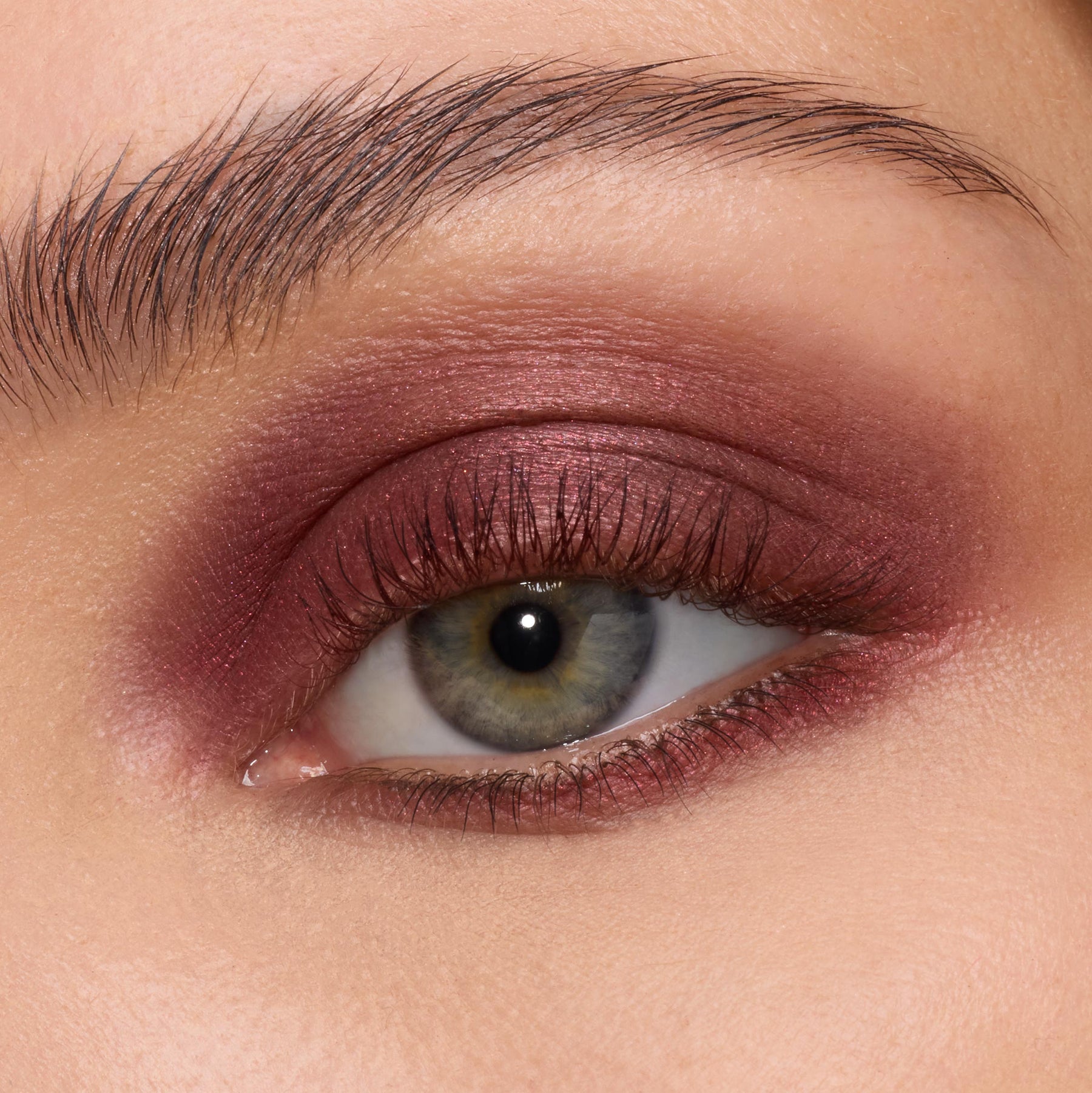 The Volturi - Easy Set