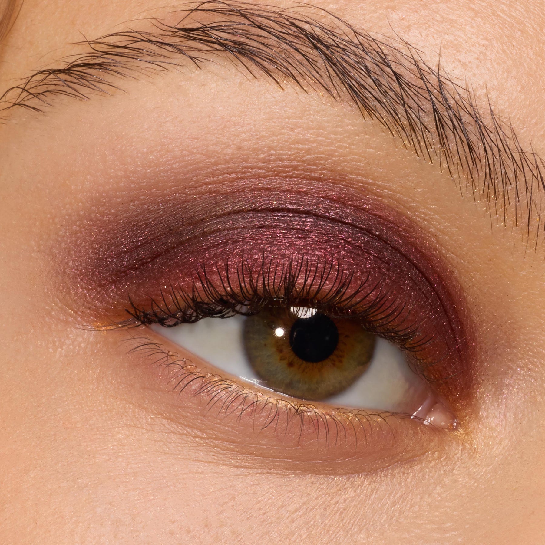 The Volturi - Easy Set