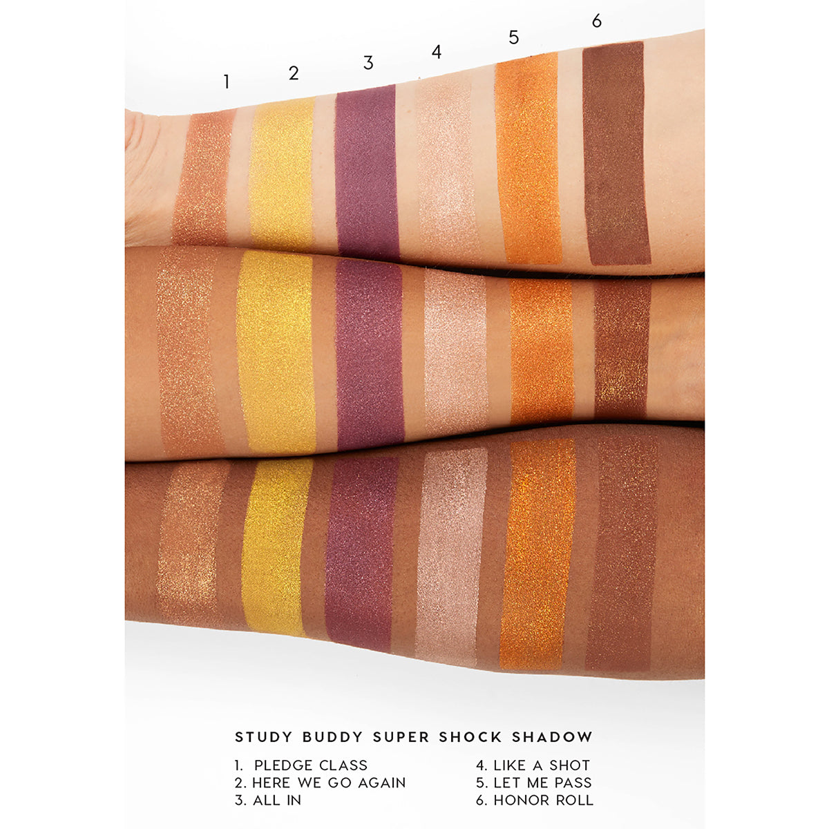 Pledge Class - Clean Bundle